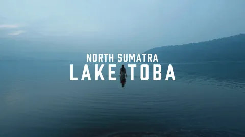 Toba Speaks
