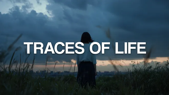 Traces of Life