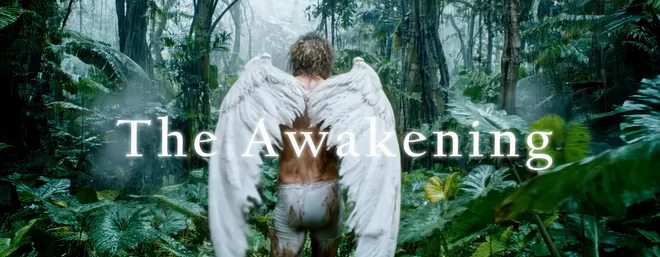 The Awakening