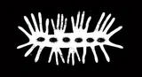 Contanimation