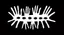 Contanimation